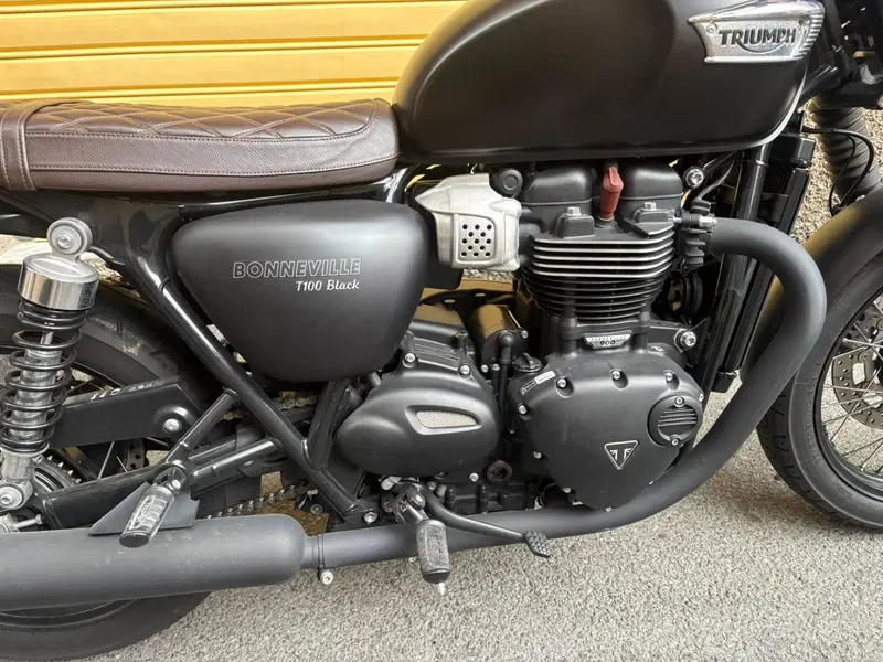 Triumph Bonneville T100 Black (2017 - 20) (16)