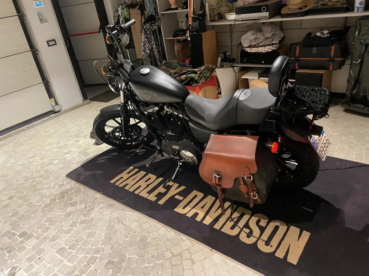 Harley-Davidson 883 Iron (2017 - 20) - XL 883N (3)