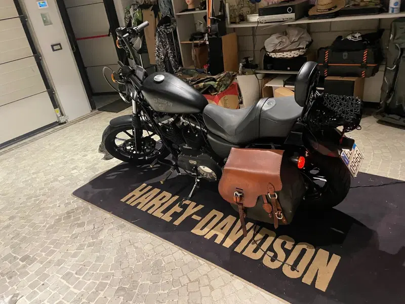 Harley-Davidson 883 Iron (2017 - 20) - XL 883N (3)