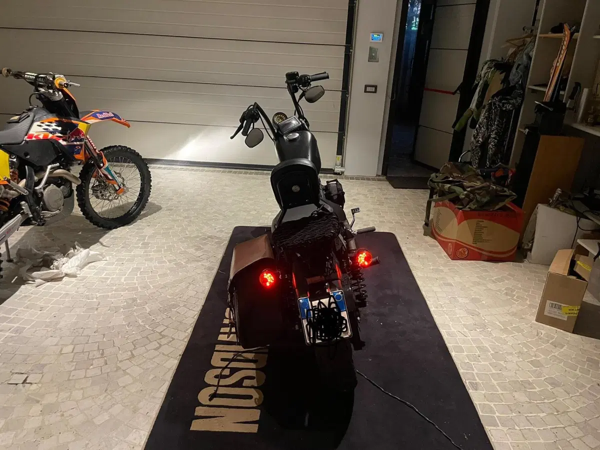 Harley-Davidson 883 Iron (2017 - 20) - XL 883N (4)