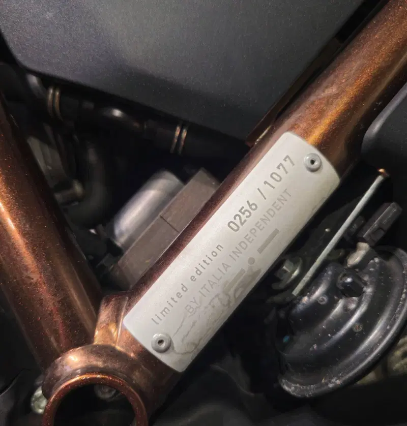 Ducati Scrambler 800 Italia Independent (2015 - 16) (5)