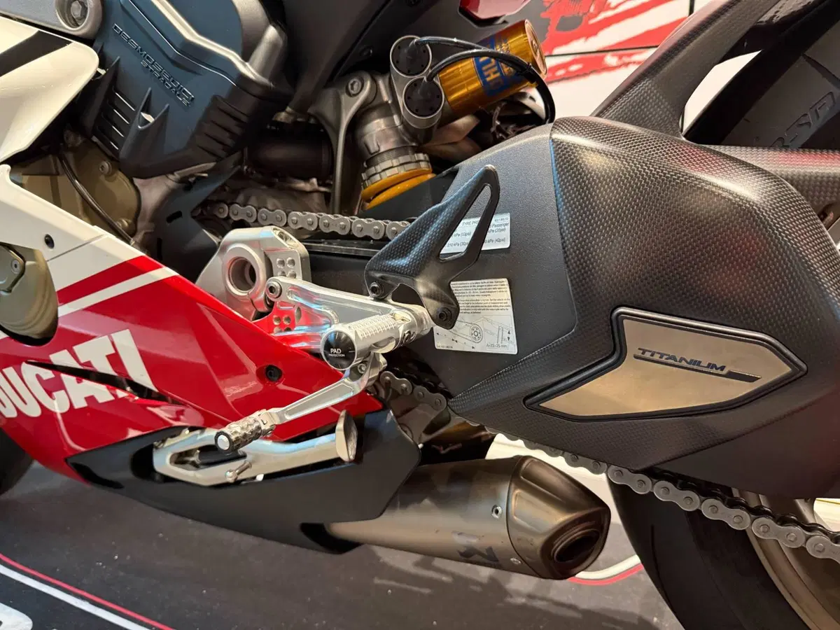 Ducati Panigale V4 Speciale 1100 (2018 - 19) (11)