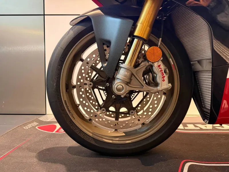 Ducati Panigale V4 Speciale 1100 (2018 - 19) (12)