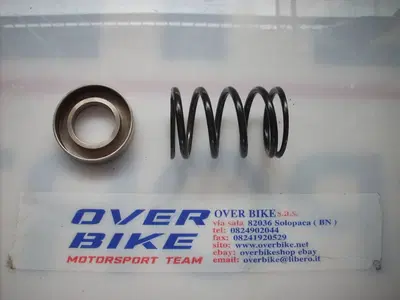 MOLLA E SCODELLINO VARIATORE GLADIATOR 500 Cectek