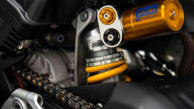 Ducati Panigale V4 R 1000 (2019 - 20) (15)