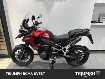 Triumph Tiger 1200 GT Pro (2024 - 26) usata