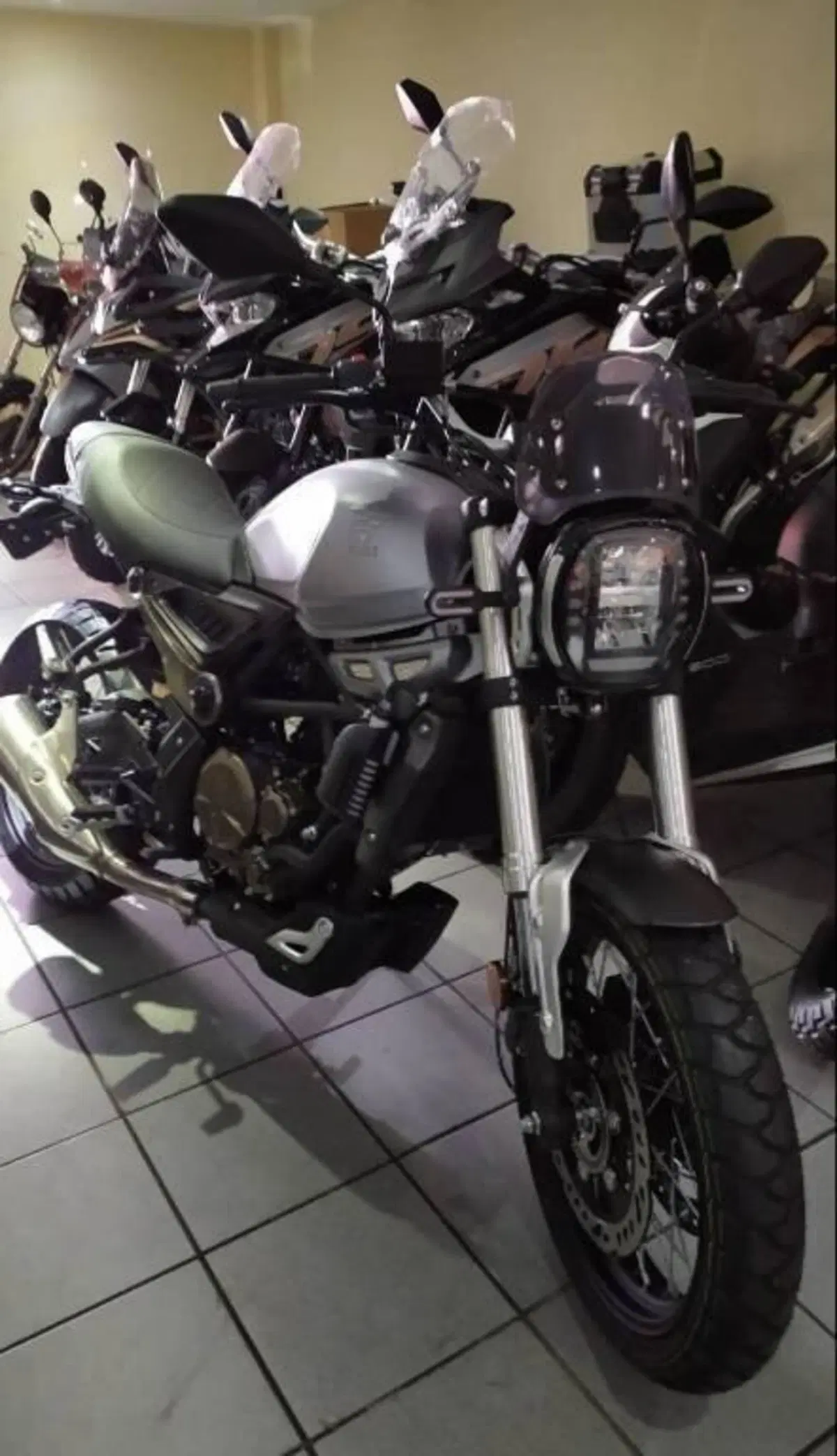 Voge Trofeo 300ACX Scrambler (2021 - 26) (2)