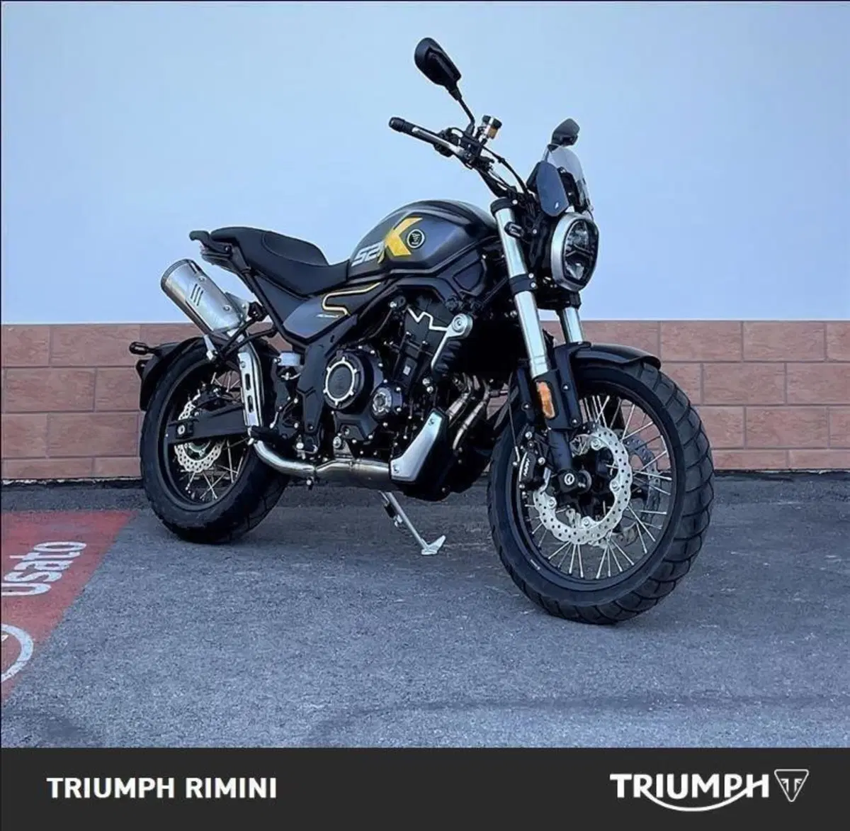 Voge Trofeo 525ACX Scrambler (2023 - 26) (3)