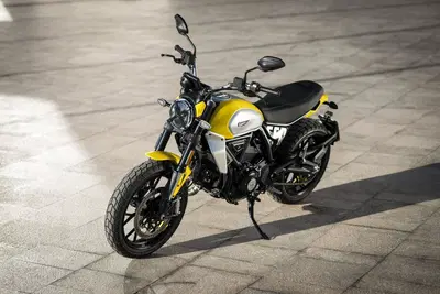 Ducati Scrambler 800 Icon (2025 - 26) nuova