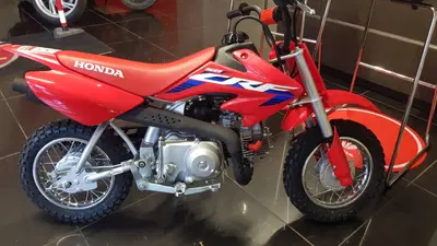 Honda CRF 50F (2023 - 26) nuova