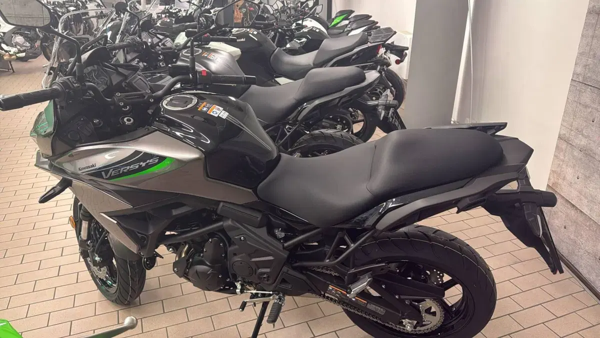 Kawasaki Versys 650 (2025 - 26) (3)