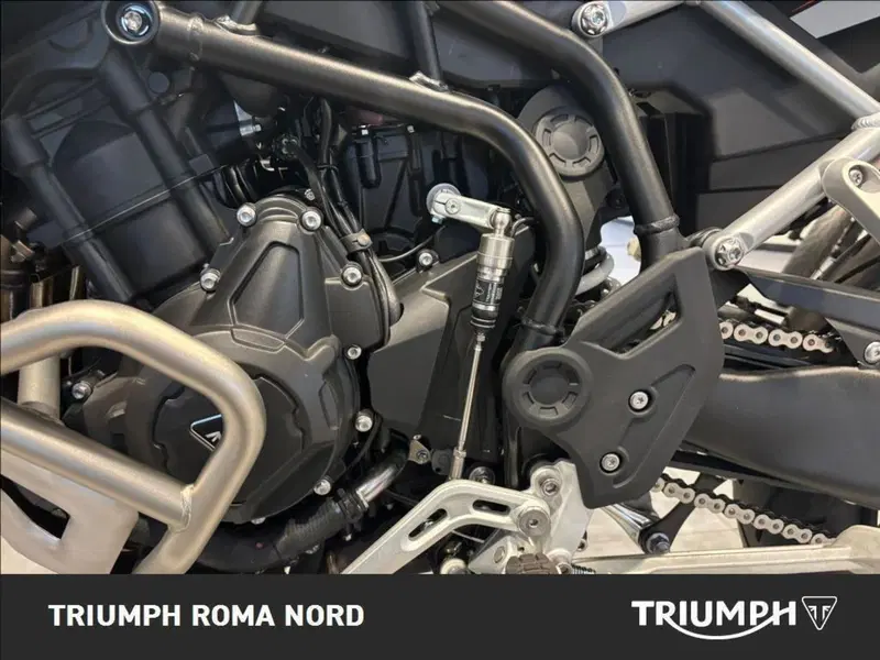 Triumph Tiger 900 Rally Pro (2020 - 23) (3)