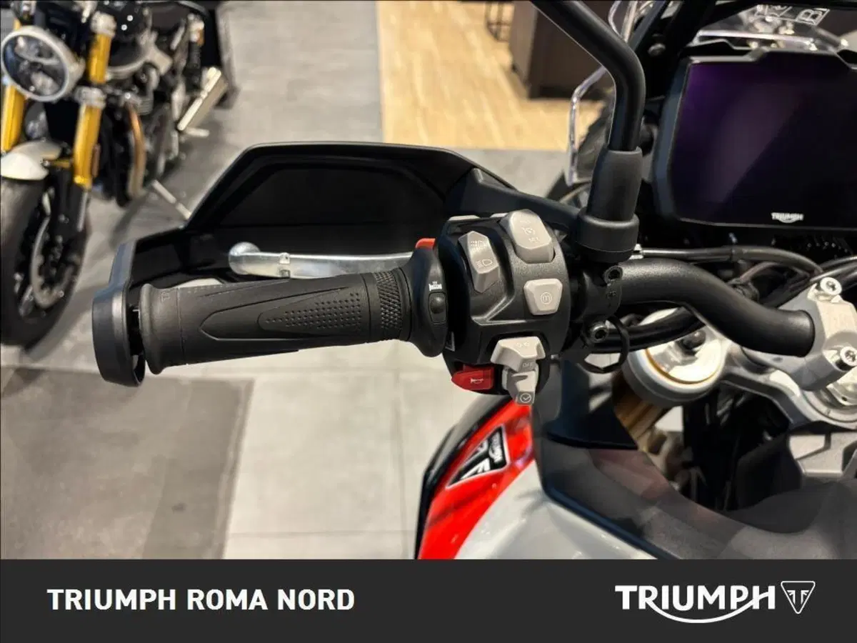 Triumph Tiger 900 Rally Pro (2020 - 23) (9)
