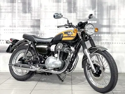 Kawasaki W 800 (2010 - 17) usata