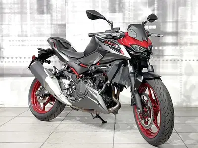Kawasaki Z 500 SE (2024 - 26) usata
