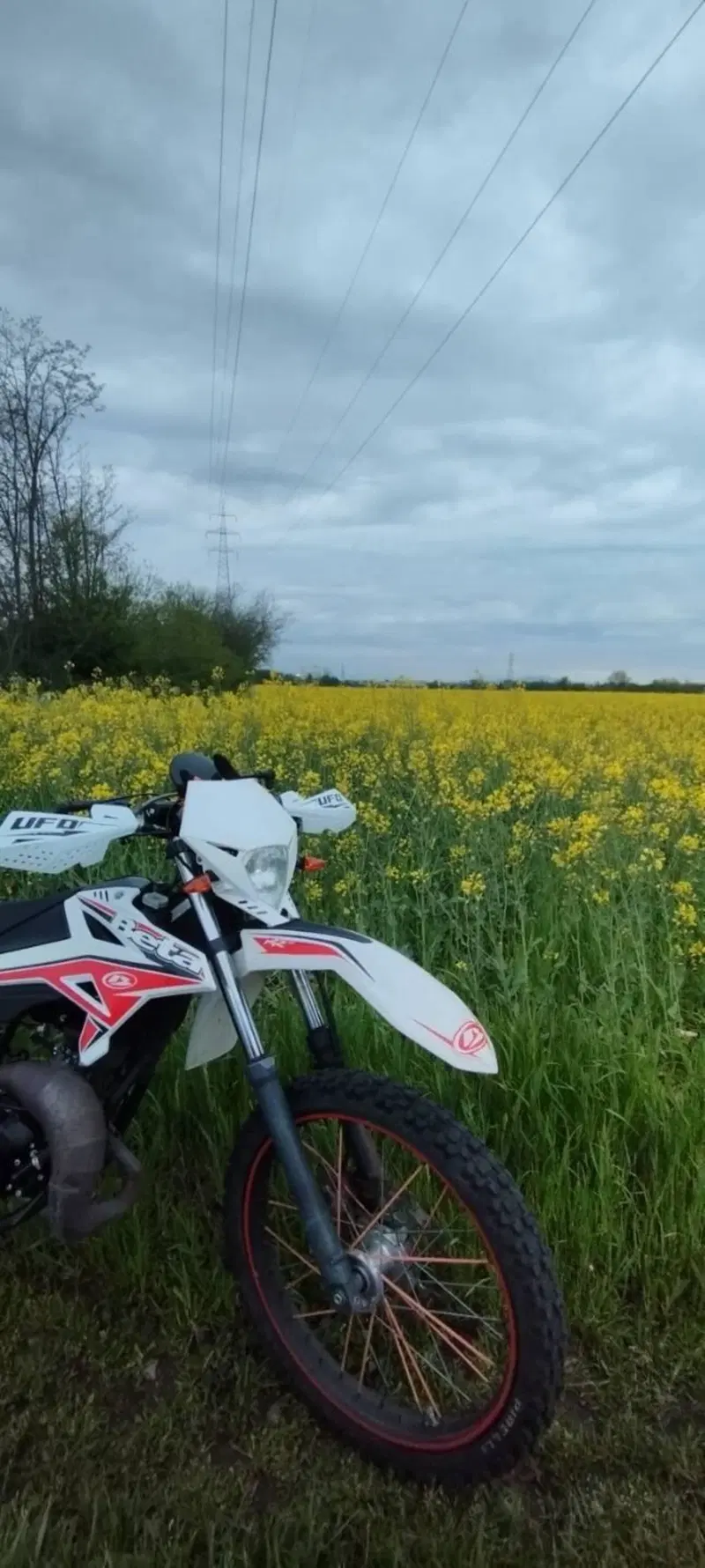 Betamotor RR 50 Enduro (2011 - 18) (4)