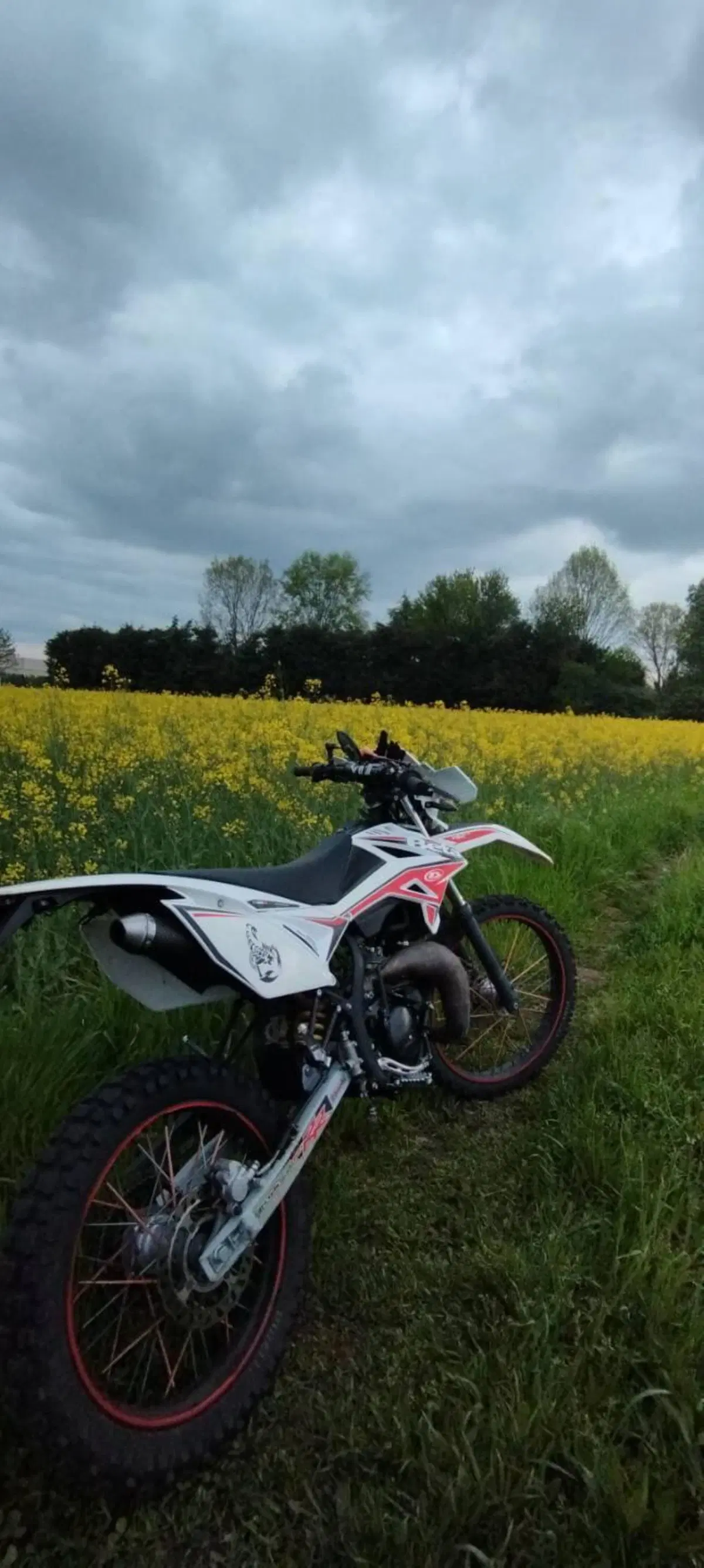 Betamotor RR 50 Enduro (2011 - 18) (7)