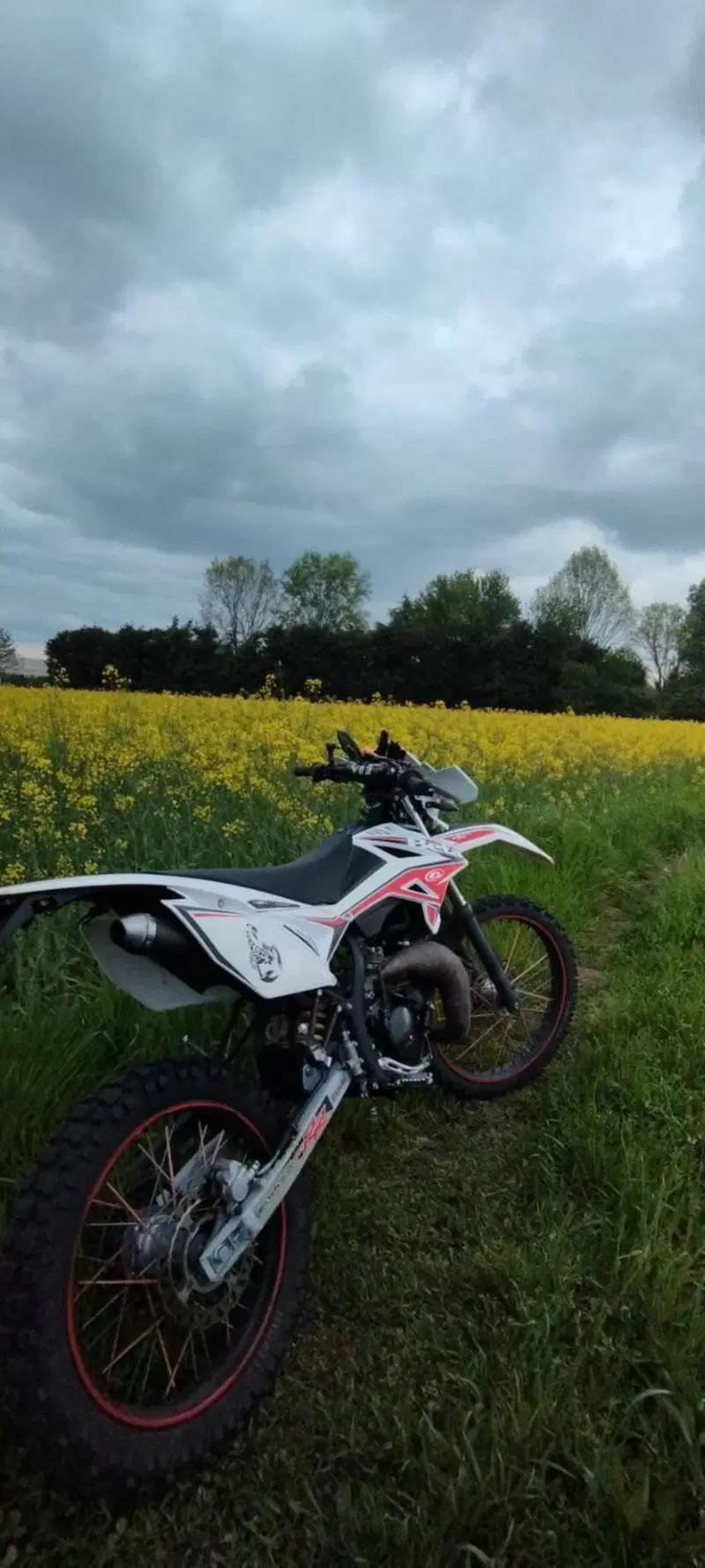 Betamotor RR 50 Enduro (2011 - 18) (7)