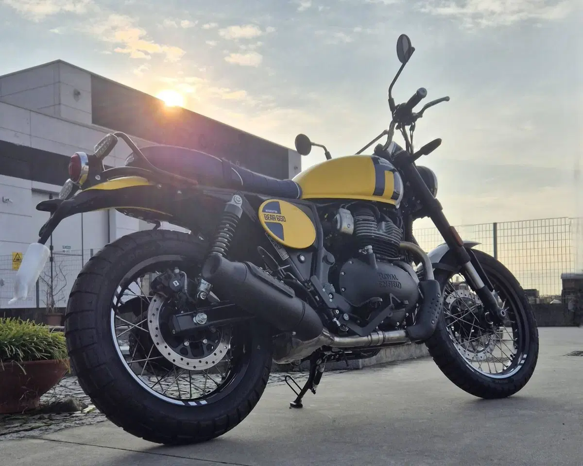 Royal Enfield Bear 650 (2025 - 26) (2)