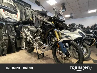 Triumph Tiger 1200 Rally Pro (2024 - 26) nuova