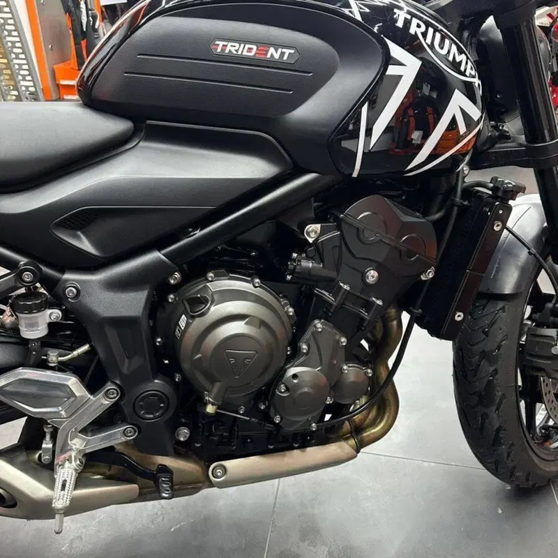 Triumph Trident 660 (2025) (2)