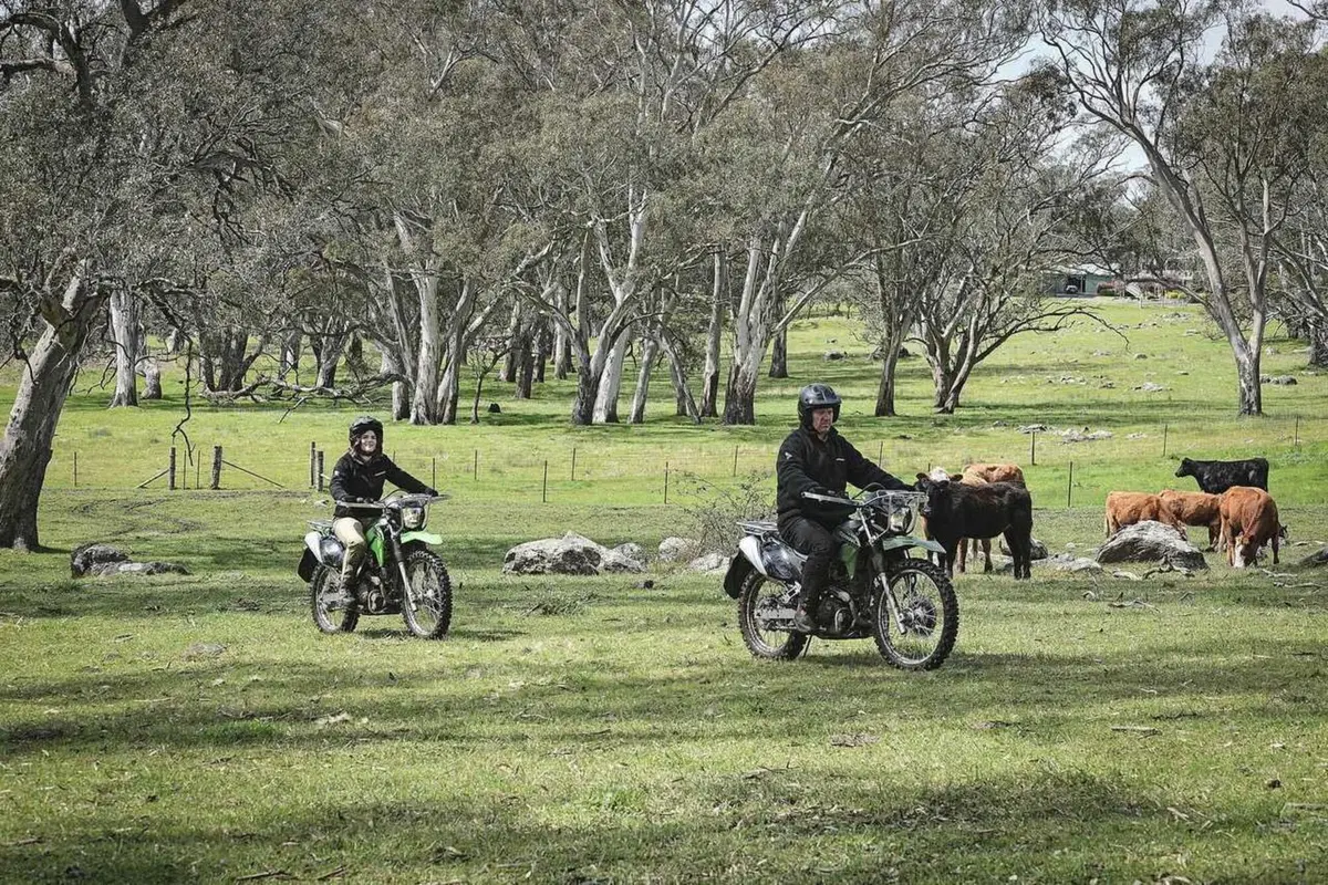 La moto che ti fa venire voglia di lavorare nei campi, la Kawasaki Stockman (6)