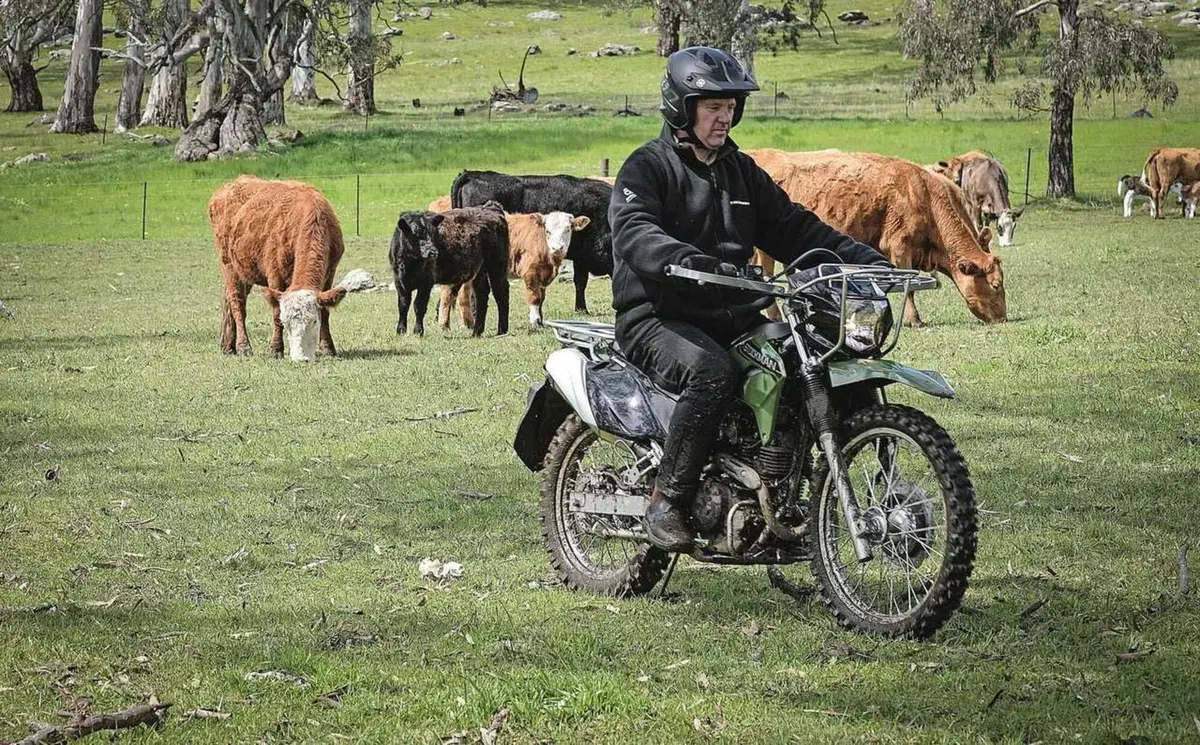 La moto che ti fa venire voglia di lavorare nei campi, la Kawasaki Stockman (13)