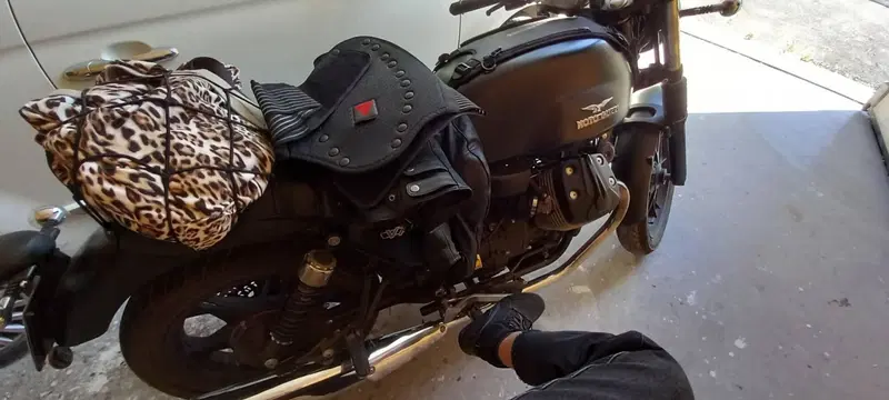 Moto Guzzi V7 II Stone (2015 - 17) (2)
