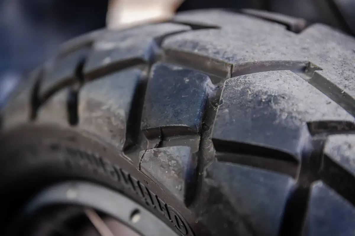 Bmw R 1250 GS Adventure (2019 - 20) (16)