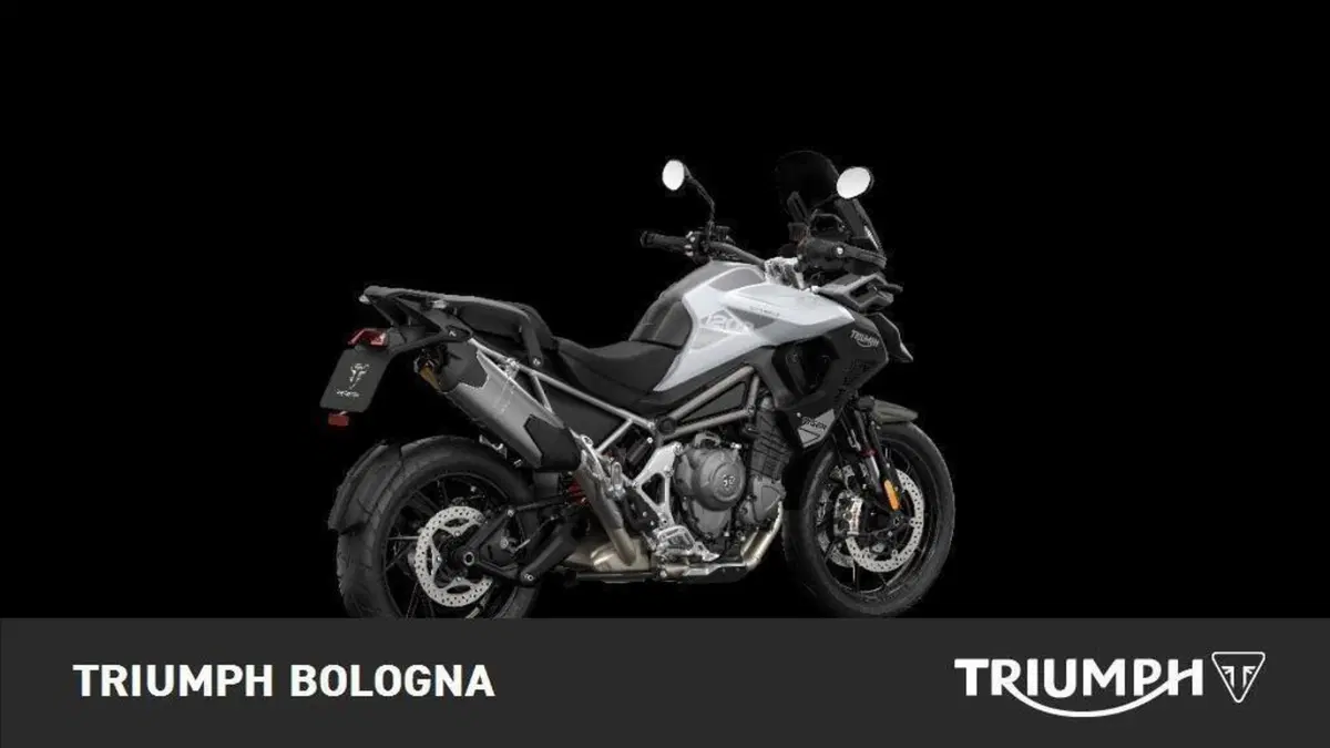 Triumph Tiger 1200 GT Pro (2024 - 26) (2)