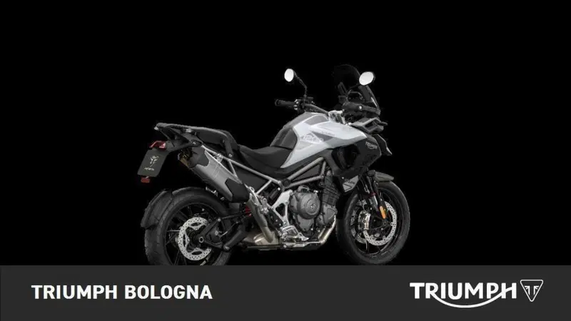 Triumph Tiger 1200 GT Pro (2024 - 26) (2)