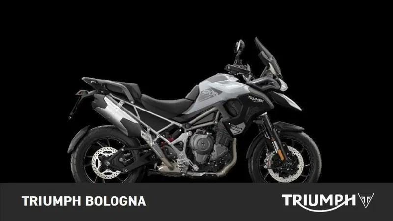 Triumph Tiger 1200 GT Pro (2024 - 26) (4)
