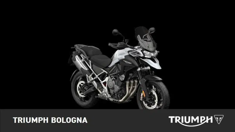 Triumph Tiger 1200 GT Pro (2024 - 26)
