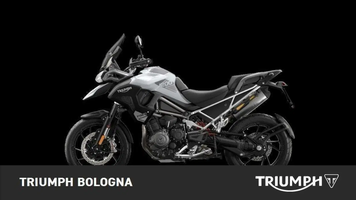 Triumph Tiger 1200 GT Pro (2024 - 26) (3)
