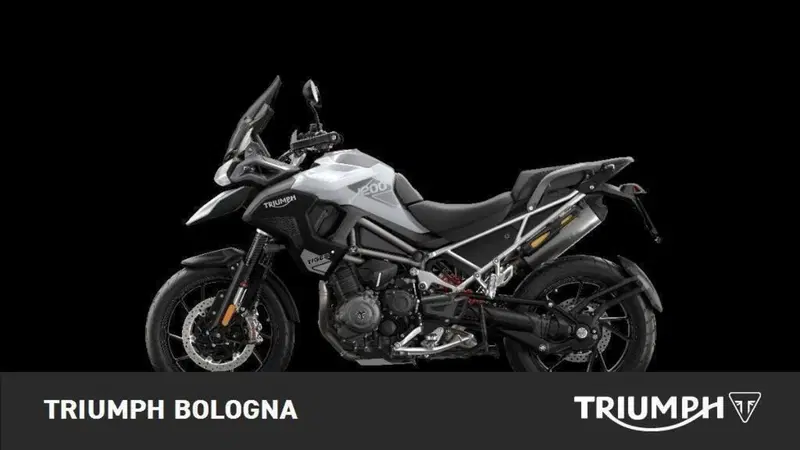 Triumph Tiger 1200 GT Pro (2024 - 26) (3)