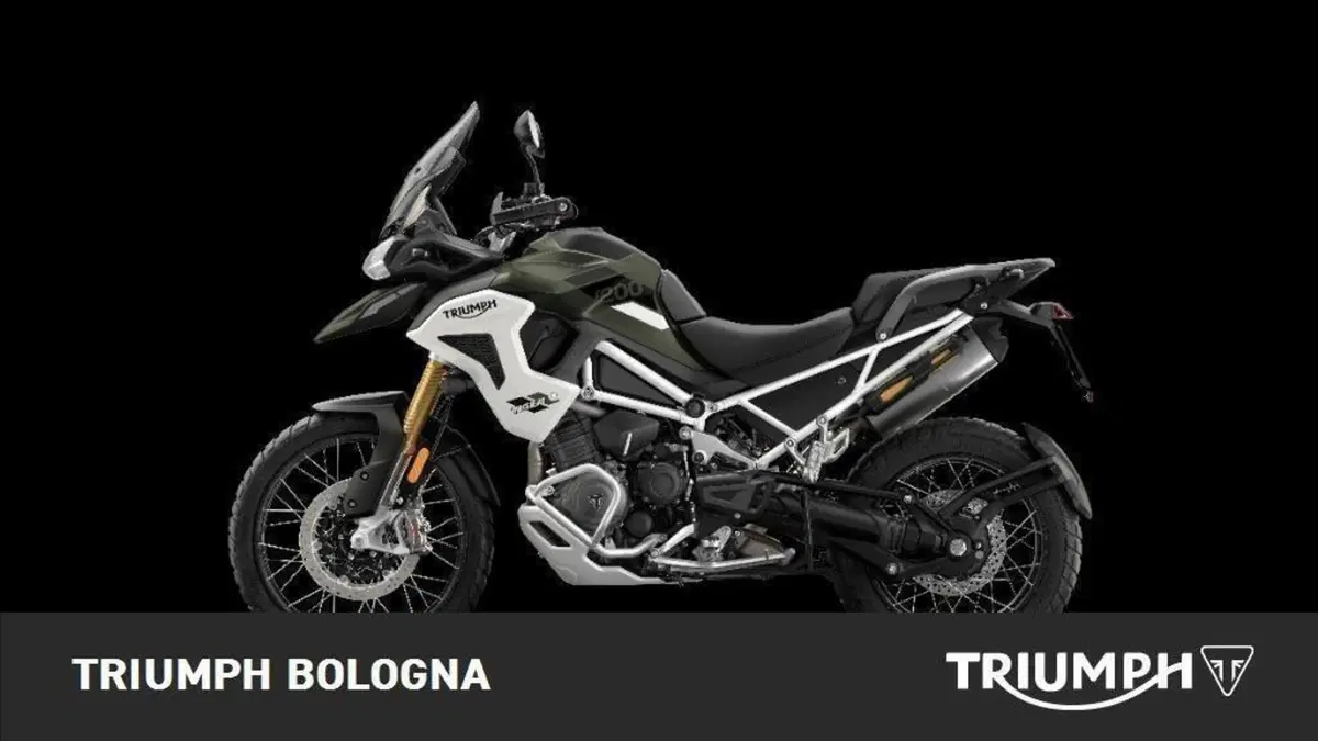 Triumph Tiger 1200 Rally Pro (2022 - 23) (2)