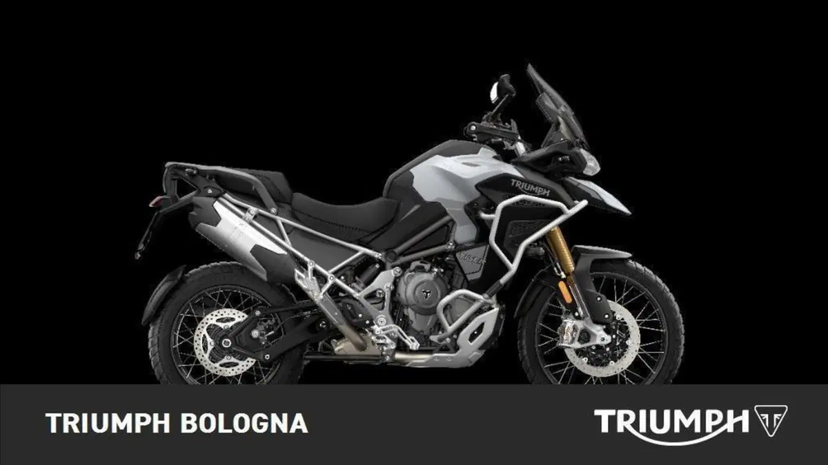 Triumph Tiger 1200 Rally Explorer (2022 - 23)