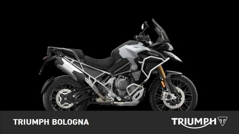 Triumph Tiger 1200 Rally Explorer (2022 - 23)