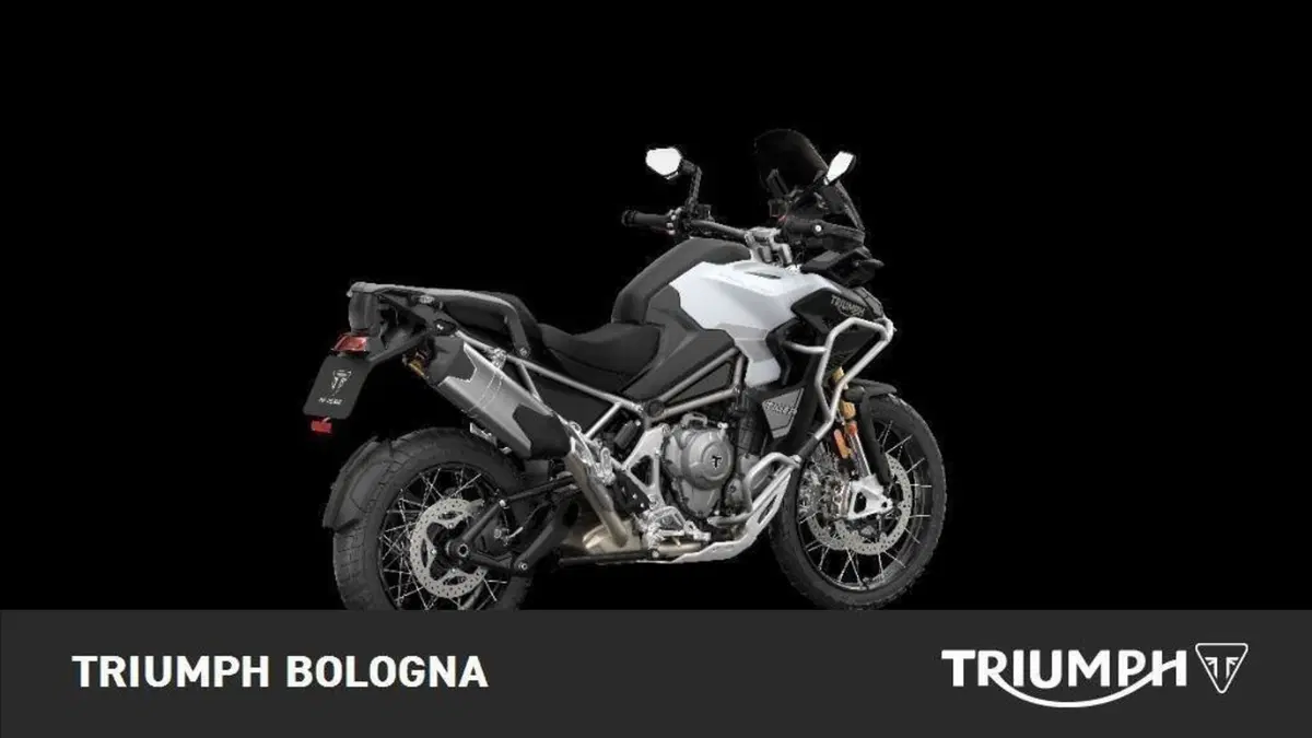 Triumph Tiger 1200 Rally Explorer (2022 - 23) (4)
