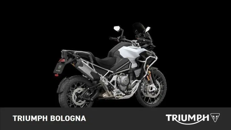 Triumph Tiger 1200 Rally Explorer (2022 - 23) (4)