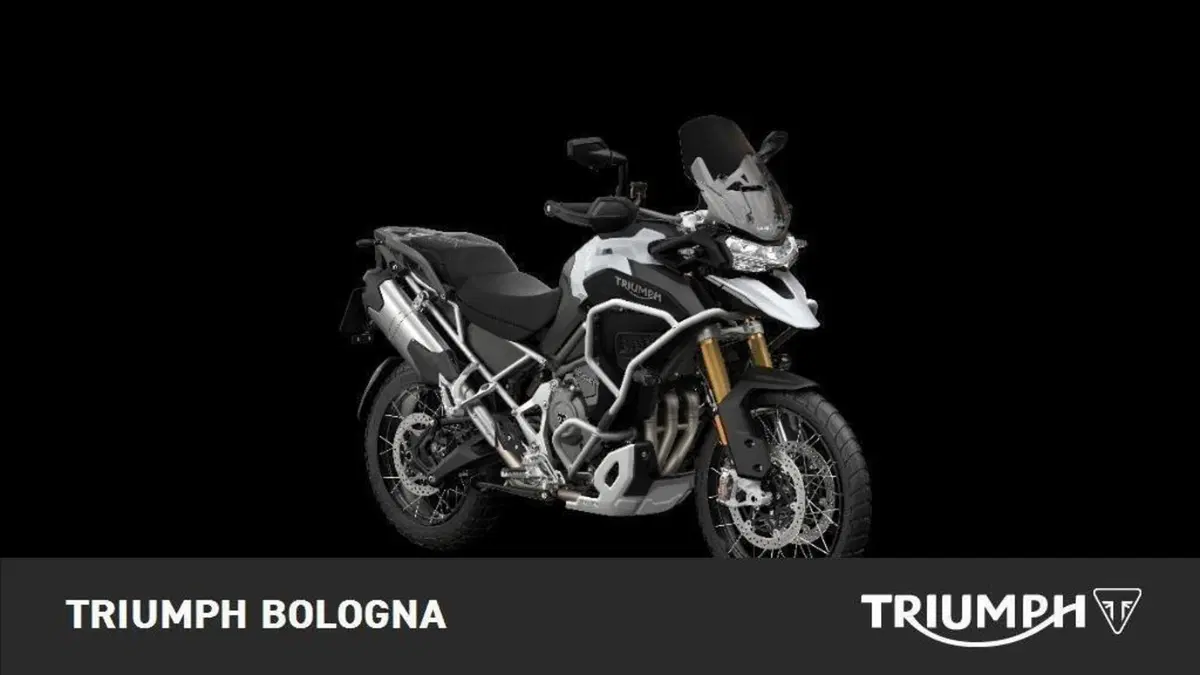 Triumph Tiger 1200 Rally Explorer (2022 - 23) (3)