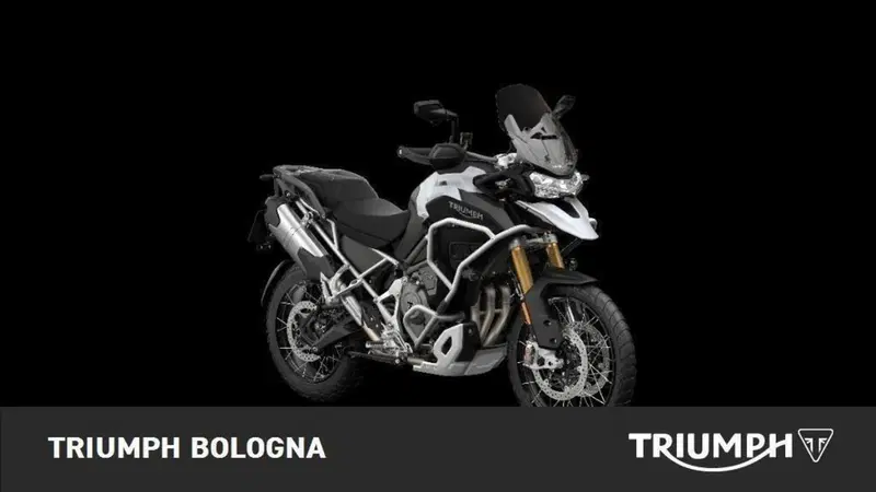 Triumph Tiger 1200 Rally Explorer (2022 - 23) (3)