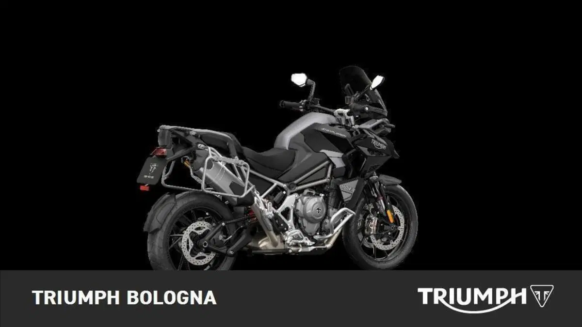 Triumph Tiger 1200 Rally Explorer (2022 - 23) (6)
