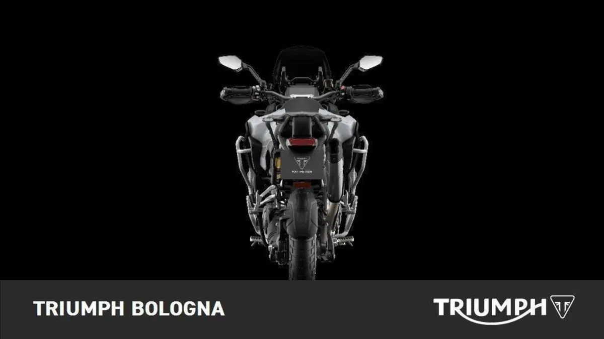 Triumph Tiger 1200 Rally Explorer (2022 - 23) (5)