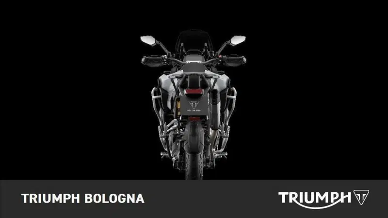 Triumph Tiger 1200 Rally Explorer (2022 - 23) (5)