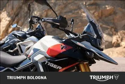 Triumph Tiger 900 Rally Pro (2024 - 26) nuova