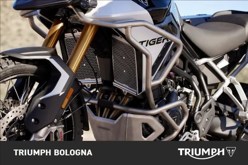 Triumph Tiger 900 Rally Pro (2024 - 26) (2)