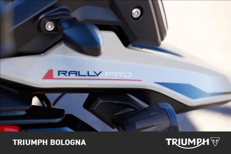 Triumph Tiger 900 Rally Pro (2024 - 26) (3)