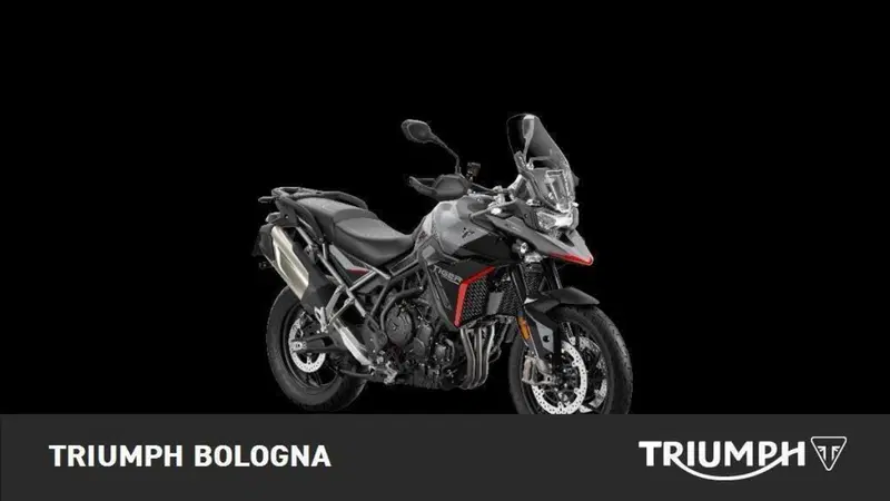 Triumph Tiger 900 GT Pro (2024 - 26) (2)