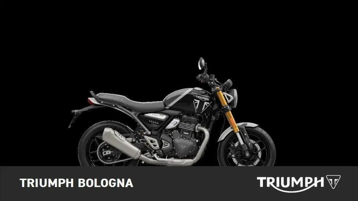 Triumph Speed 400 (2024 - 26) (3)